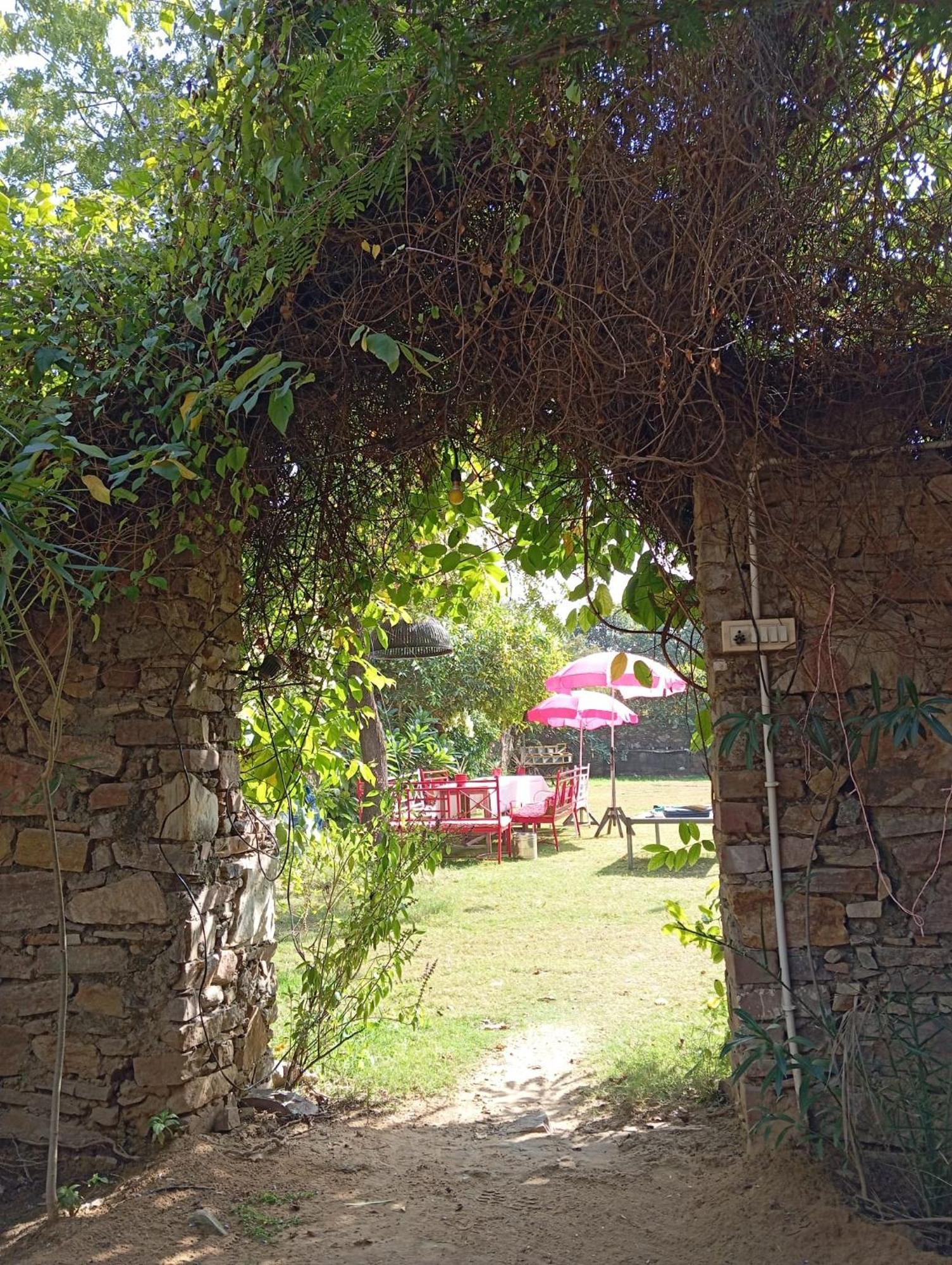 The Secret Garden Bed & Breakfast Pushkar Luaran gambar