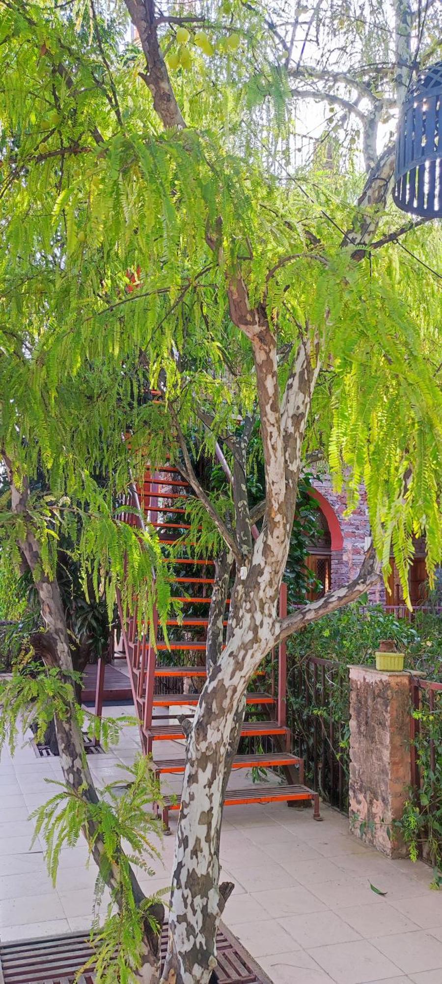 The Secret Garden Bed & Breakfast Pushkar Luaran gambar
