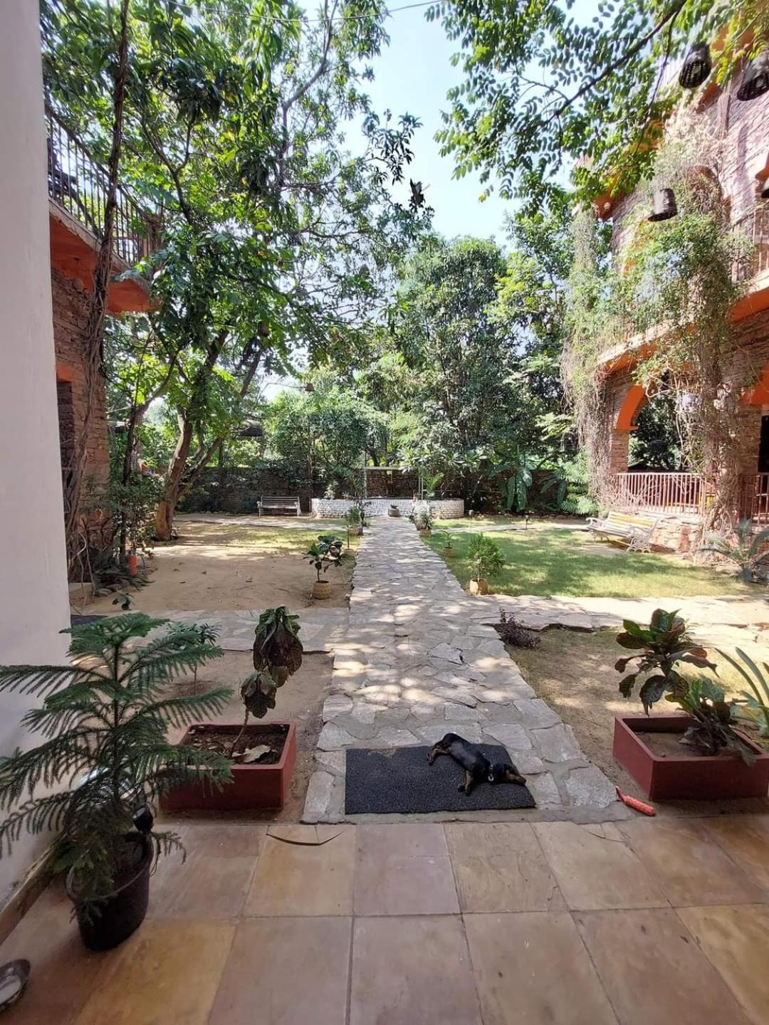The Secret Garden Bed & Breakfast Pushkar Luaran gambar