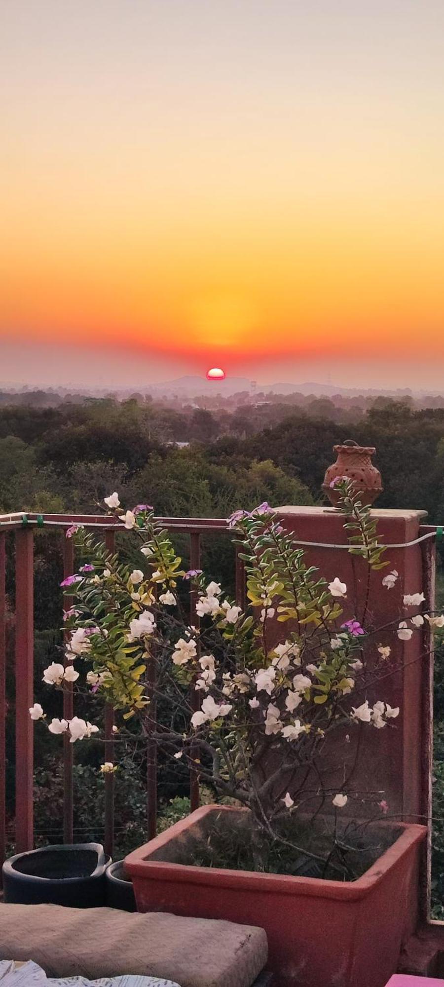 The Secret Garden Bed & Breakfast Pushkar Luaran gambar